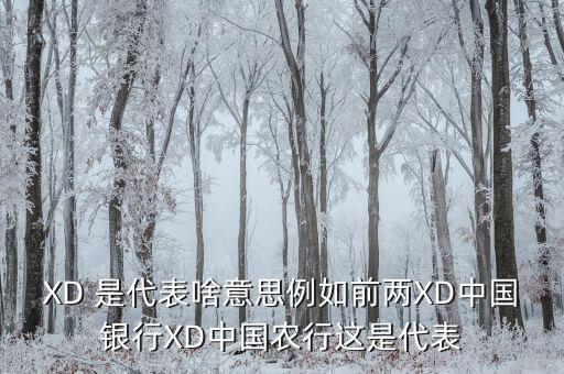 農(nóng)行中證代表什么，XD 是代表啥意思例如前兩XD中國銀行XD中國農(nóng)行這是代表