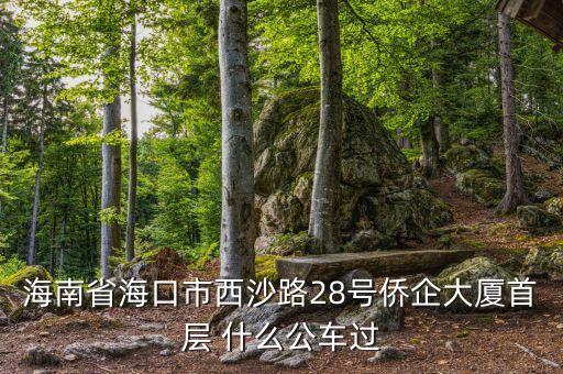 海南公務(wù)車什么號(hào)段，誰(shuí)知道海南41 11月20日開(kāi)的什么號(hào)碼