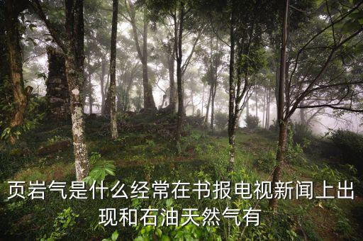 頁巖氣和天然氣有什么不同，頁巖氣與煤層氣的區(qū)別