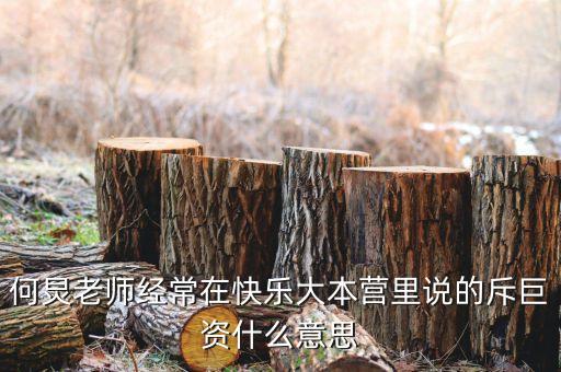 赤巨資是什么意思，赤巨資是什么意思能解釋一下嗎