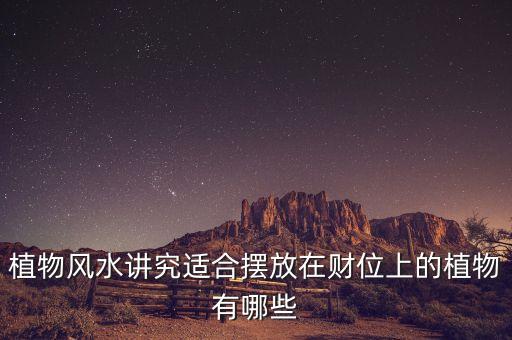 16年擺什么花利于財，客廳擺放什么花最吉利
