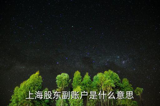 上海股東賬戶是什么，上海股東副賬戶是什么意思