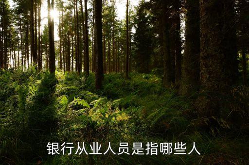銀行從業(yè)人員是什么，我在銀行從業(yè)資格證里面看到一個銀行從業(yè)人員和銀行非從業(yè)人員