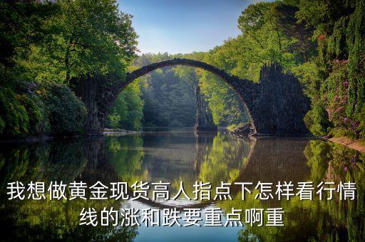 黃金看什么他漲，我想做黃金現(xiàn)貨高人指點下怎樣看行情線的漲和跌要重點啊重
