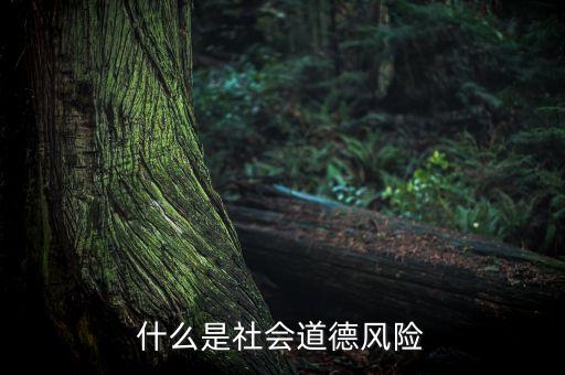 什么是社會風(fēng)險(xiǎn)，什么是社會道德風(fēng)險(xiǎn)