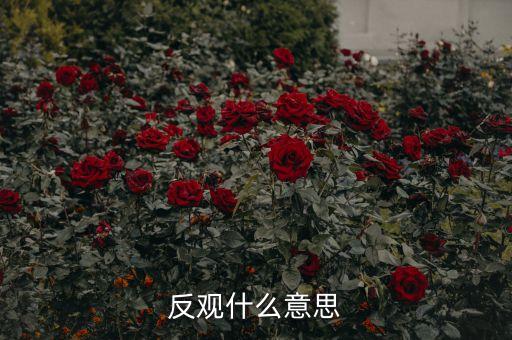 反觀當下是什么意思，求英語大神翻譯反觀當下