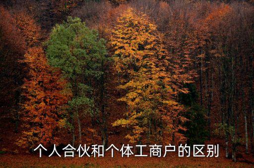 個(gè)人合伙領(lǐng)取什么經(jīng)營(yíng)執(zhí)照，個(gè)人合伙辦理個(gè)體工商戶執(zhí)照