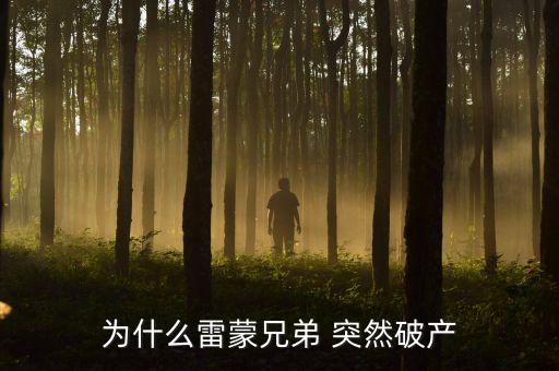 雷曼兄弟為什么破產(chǎn)，雷曼兄弟是因?yàn)槭裁炊飘a(chǎn)的