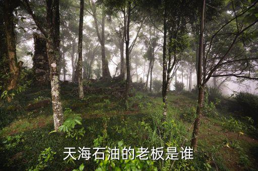 天海收購英邁什么時(shí)間，信用卡能不能申請延遲2天?？?/></a></span><span id=