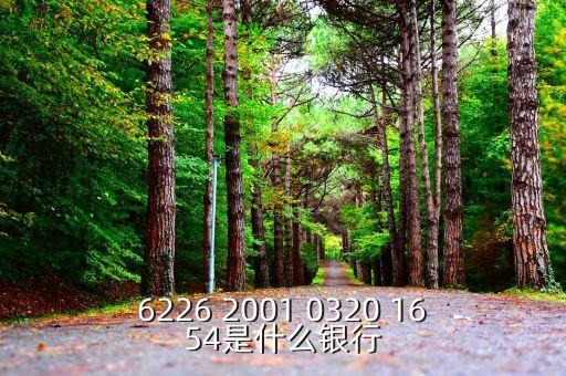 625166是什么銀行，6226 2001 0320 1654是什么銀行