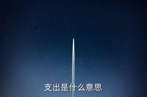 什么是下甩支出，請問會計里面的甩帳是什么意思