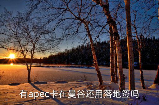 apec為什么有俄羅斯，亞太經(jīng)合組織怎么樣為什么中國1991年才加入怕俄羅斯聯(lián)邦嗎