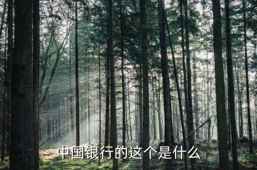中國(guó)銀行的這個(gè)是什么