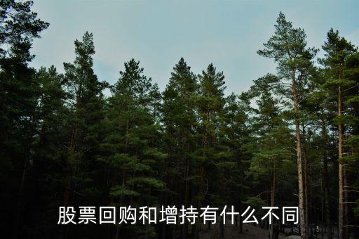 股票回購和增持有什么不同