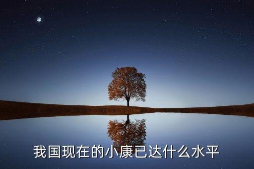 我國現(xiàn)在的小康已達什么水平