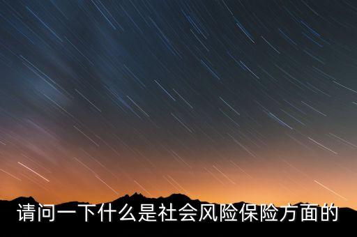 請問一下什么是社會(huì)風(fēng)險(xiǎn)保險(xiǎn)方面的