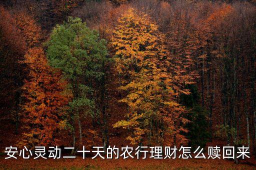 安心靈動(dòng)20天什么時(shí)候可以贖回，安心靈動(dòng)二十天的農(nóng)行理財(cái)怎么贖回來(lái)
