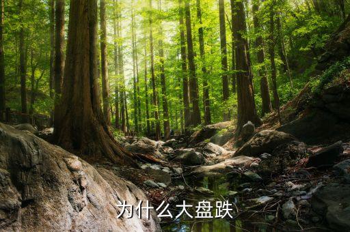 大盤為什么會(huì)跌，大盤為啥會(huì)暴跌