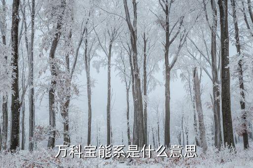 萬(wàn)科寶能系是什么，寶能系與萬(wàn)科什么關(guān)系