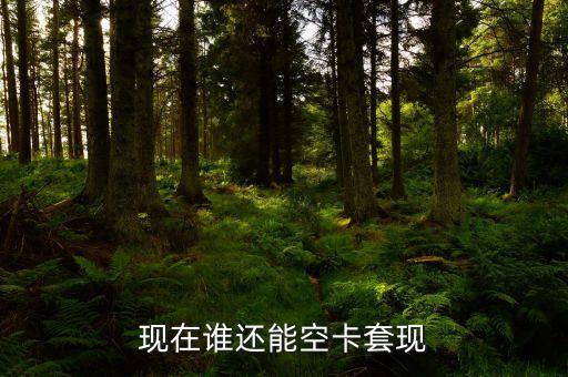 什么地方可以空卡套現(xiàn)，誰知道煙臺地區(qū)有辦理空卡套現(xiàn)的么