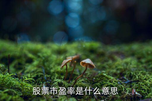 股票中的市盈率是什么意思，什么是股票市盈率