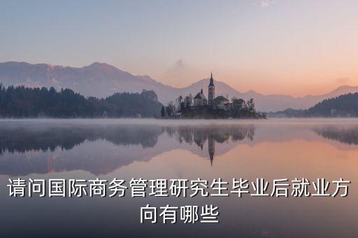請(qǐng)問國(guó)際商務(wù)管理研究生畢業(yè)后就業(yè)方向有哪些