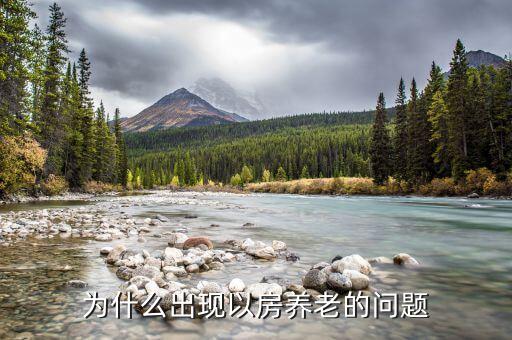 為什么不能以房養(yǎng)老，以房養(yǎng)老的前提是手里有房一般來說手頭有兩套以上房產(chǎn)的人