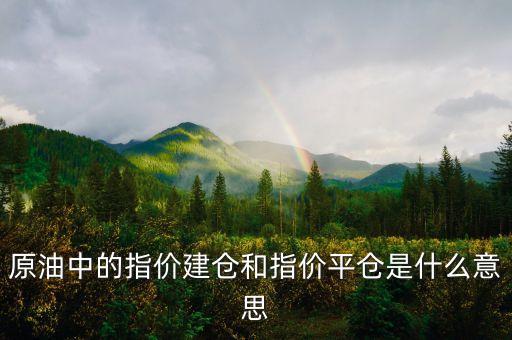 指價平倉是什么意思，什么是平倉價