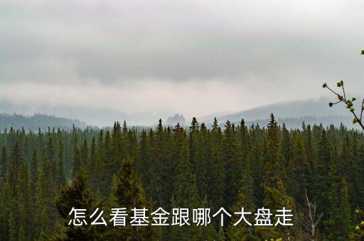 怎么看基金跟哪個大盤走
