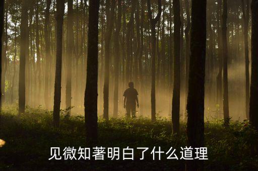 見微知著明白了什么道理