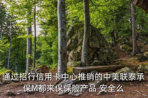 通過(guò)招行信用卡中心推銷的中美聯(lián)泰承保M都來(lái)保保險(xiǎn)產(chǎn)品 安全么