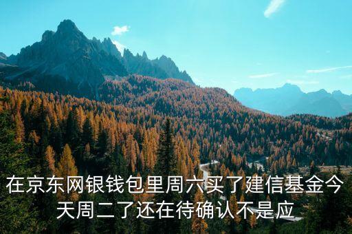 002378建信什么時候確認份額，在京東網(wǎng)銀錢包里周六買了建信基金今天周二了還在待確認不是應(yīng)