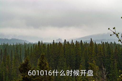 神農(nóng)大豐什么時(shí)候開盤，000972股票什么時(shí)間開盤