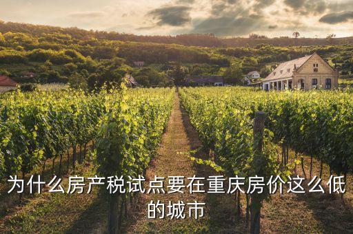 為什么房產(chǎn)稅試點要在重慶房價這么低的城市
