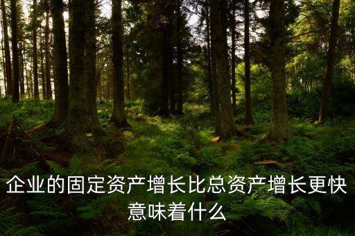 固定資產(chǎn)增長說明什么，流動資產(chǎn)固定資產(chǎn)長期投資都增加從公司資產(chǎn)規(guī)模及變動趨勢