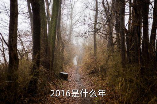 2016是什么年