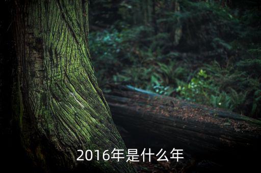 2016年是推進(jìn)結(jié)構(gòu)性改革的什么年，2016年是什么年啊