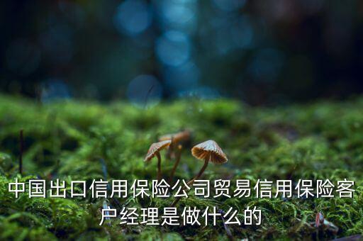 中信?？蛻艚?jīng)理干什么，中國(guó)出口信用保險(xiǎn)公司貿(mào)易信用保險(xiǎn)客戶經(jīng)理是做什么的