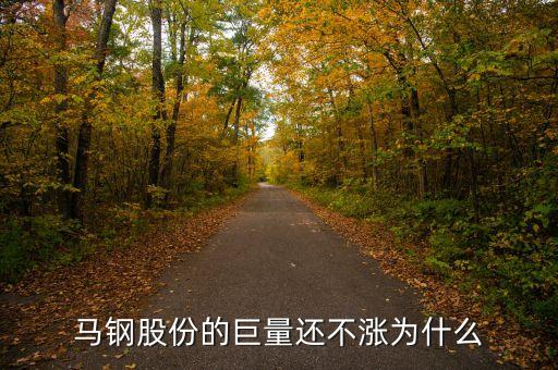 馬鋼集團(tuán)為什么還不倒，馬鋼集團(tuán)為什么沒排在世界500強中