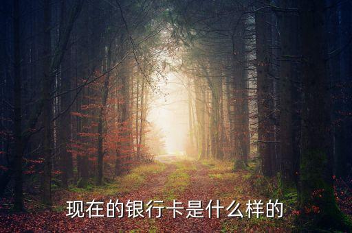 首都銀行卡長什么樣，銀行卡賬號(hào)長什么樣