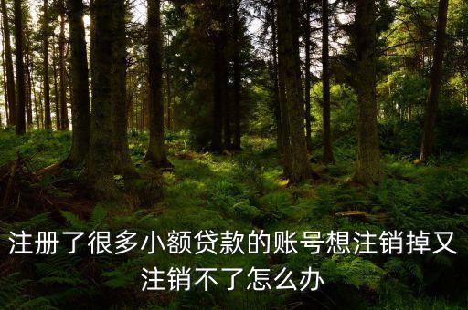 三農(nóng)網(wǎng)貸是做什么的，小額貸款公司經(jīng)營范圍除了最基本的個(gè)人貸款和對(duì)小公司貸款三