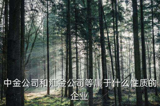 中金公司是什么性質(zhì)的，石家莊中金投資咨詢有限公司