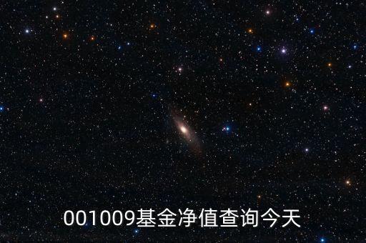 001009基金凈值查詢(xún)今天