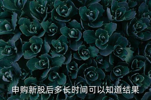 申購新股后多長時(shí)間可以知道結(jié)果