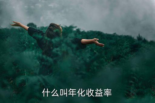 8的年收益是什么意思，投入100年化借款利率8什么意思