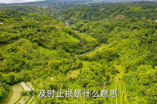 適時止損是什么意思，勿糾結(jié)于沉沒成本 即時止損什么意思