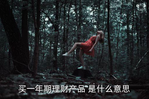 買(mǎi)一年期理財(cái)產(chǎn)品 是什么意思