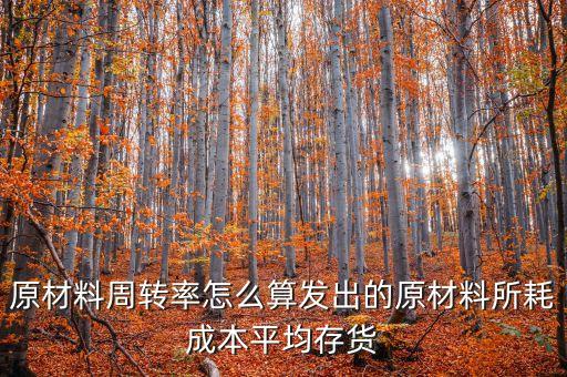 材料周轉(zhuǎn)率是什么，90原材料周轉(zhuǎn)率周轉(zhuǎn)天數(shù) 什么意思