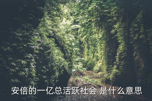 一億總活躍社會(huì)是什么， 安倍的一億總活躍社會(huì) 是什么意思