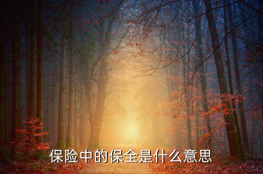 中國(guó)數(shù)據(jù)保全的意義是什么，保險(xiǎn)中的保全是什么意思